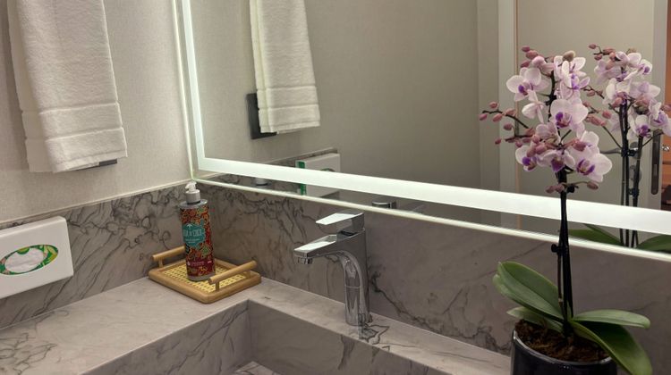 Holiday Inn Belo Horizonte Savassi Suite