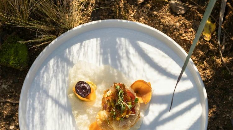 Lapostolle Residence Restaurant