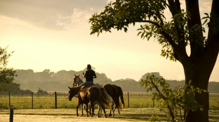 La Bamba de Areco Recreation