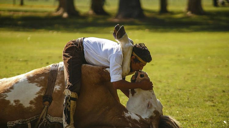 La Bamba de Areco Other