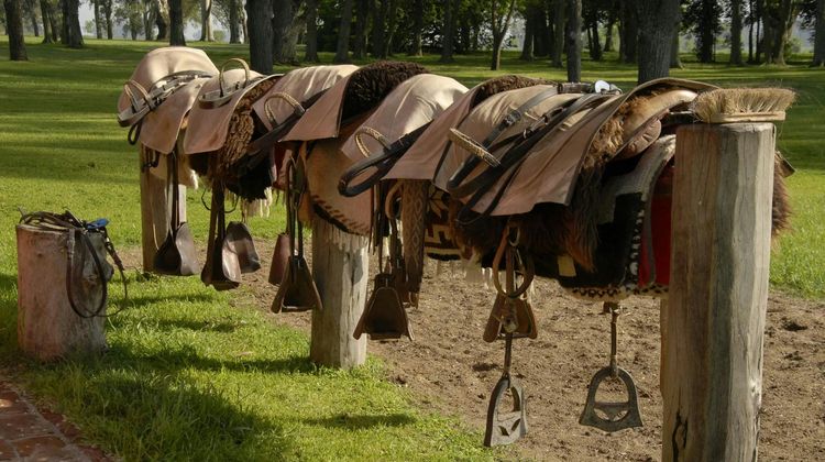La Bamba de Areco Other
