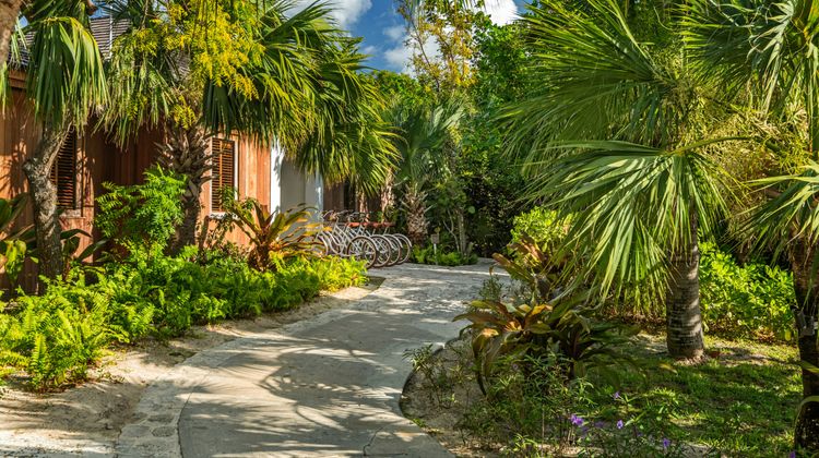 COMO Parrot Cay Beach