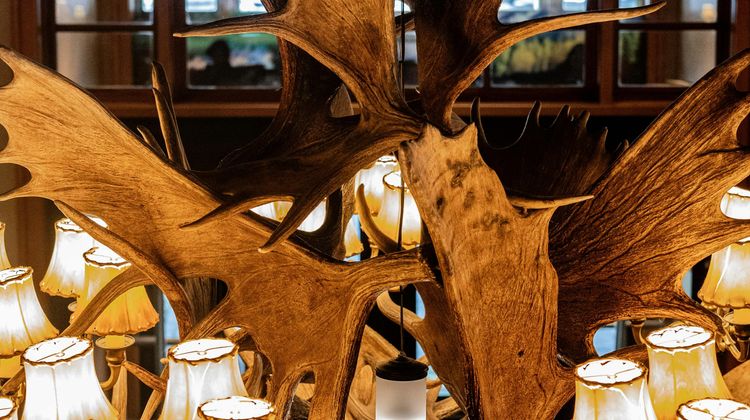 Wyoming Inn of Jackson Hole Lobby