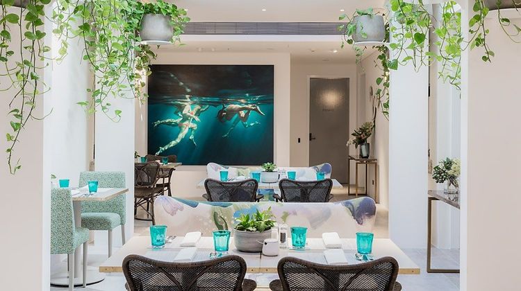 Spicers Potts Point Restaurant