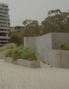 Wake Medellin