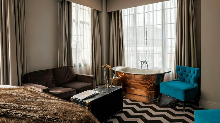 The Rex Suite