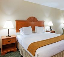 Holiday Inn Express & Suites Sylacauga Room