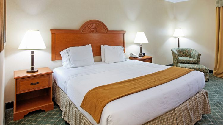 Holiday Inn Express & Suites Sylacauga Room
