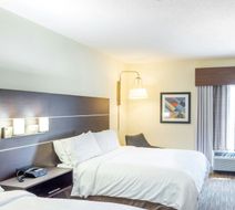 Holiday Inn Express & Suites Fort Payne Room