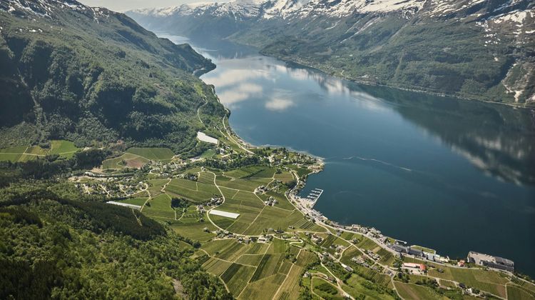 Hotel Ullensvang Other