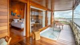 <b>Delfin Amazon Cruises Room</b>. Images powered by <a href="https://www.leonardoworldwide.com/" title="Leonardo Worldwide" target="_blank">Leonardo</a>.
