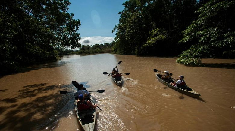 <b>Delfin Amazon Cruises Recreation</b>. Images powered by <a href="https://www.leonardoworldwide.com/" title="Leonardo Worldwide" target="_blank">Leonardo</a>.