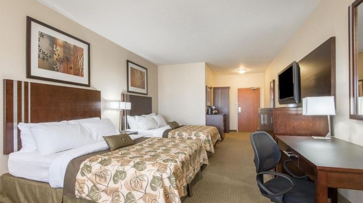 Canalta Wainwright Room