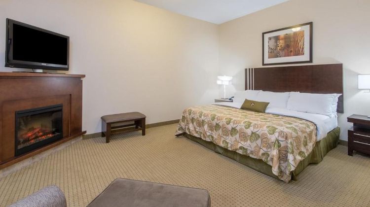 Canalta Wainwright Suite