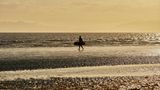 Marine Troon Other