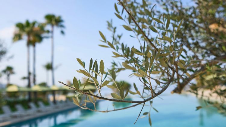Filoxenia Hotel Pool
