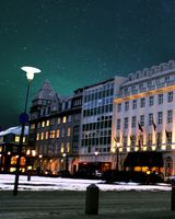 Hotel Borg