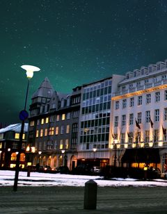 Hotel Borg