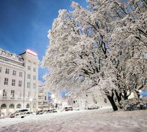 Hotel Borg Exterior