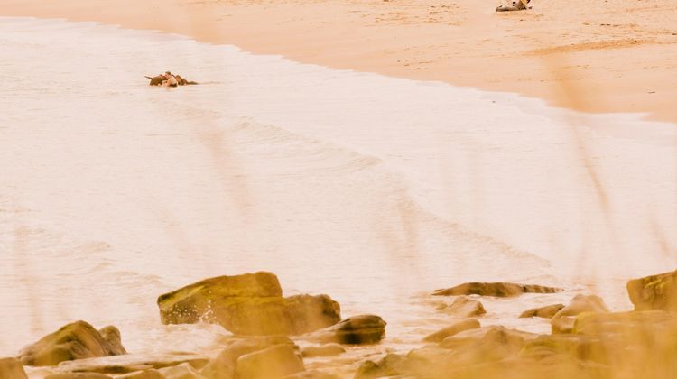 Dornoch Station Beach