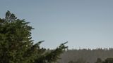<b>Sea Ranch Lodge Golf</b>. Images powered by <a href="https://www.leonardoworldwide.com/" title="Leonardo Worldwide" target="_blank">Leonardo</a>.