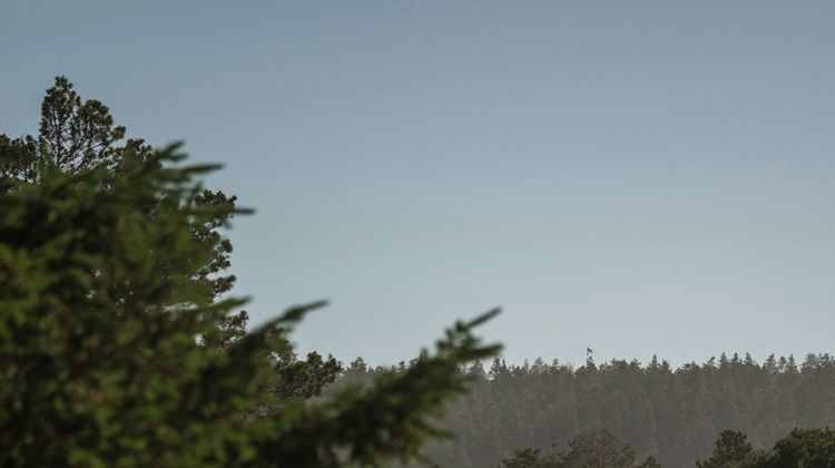 Sea Ranch Lodge Golf