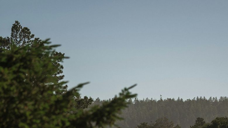<b>Sea Ranch Lodge Golf</b>. Images powered by <a href="https://www.leonardoworldwide.com/" title="Leonardo Worldwide" target="_blank">Leonardo</a>.