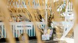 Divani Apollon Palace & Spa Beach