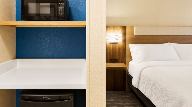 Holiday Inn Express & Suites Tampa Room