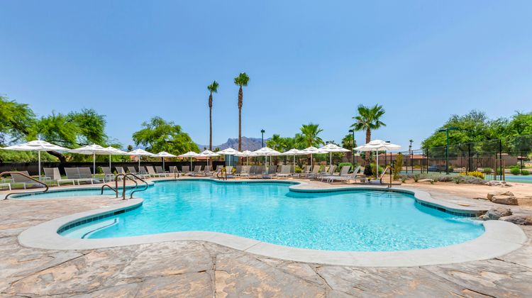 Omni Tucson National Resort & Spa Pool
