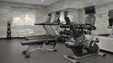 Fairfield Inn & Suites Tampa North Health Club