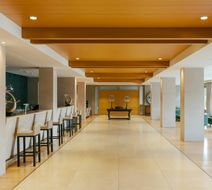 Divani Meteora Hotel Lobby