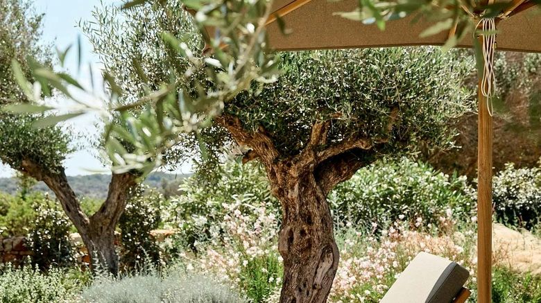 <b>Cap Menorca Exterior</b>. Images powered by <a href="https://www.leonardoworldwide.com/" title="Leonardo Worldwide" target="_blank">Leonardo</a>.