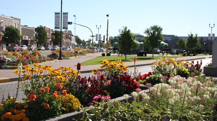 Holiday Inn Express Yorkton East Other