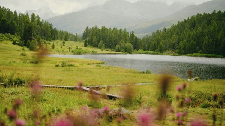 Grand Hotel Kronenhof Other