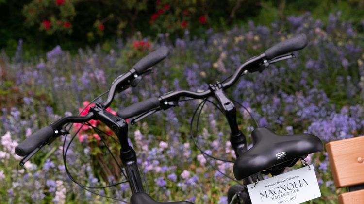 The Magnolia Hotel & Spa Recreation