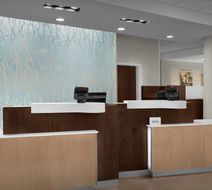 Fairfield Inn/Stes Atlanta Lithia Spring Lobby