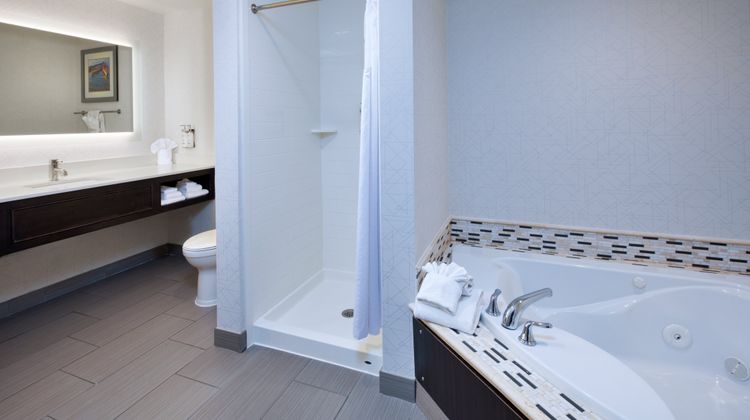 Holiday Inn Express & Sts Ann Arbor West Suite