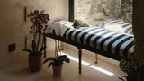 Vetera Matera Lobby