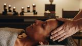 Lesic Dimitri Palace Spa