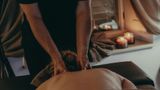 Lesic Dimitri Palace Spa