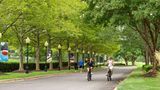 Lansdowne Resort and Spa Other