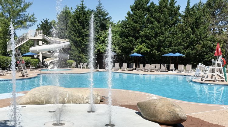Lansdowne Resort and Spa Pool