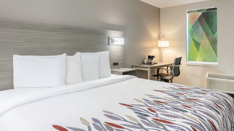 Red Roof Inn & Suites Middleborough Room