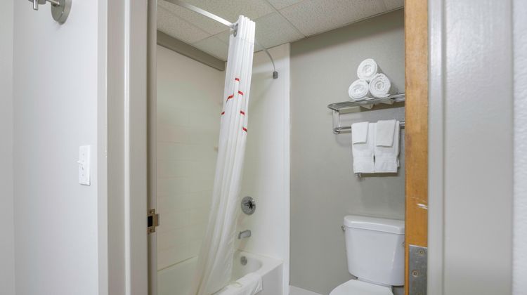 Red Roof Inn & Suites Middleborough Room