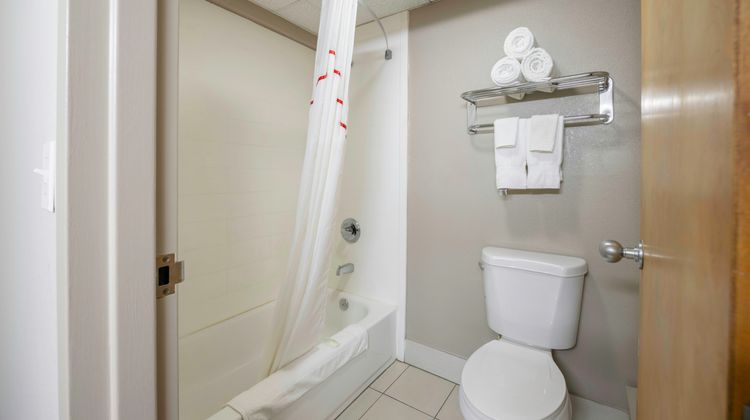 Red Roof Inn & Suites Middleborough Room