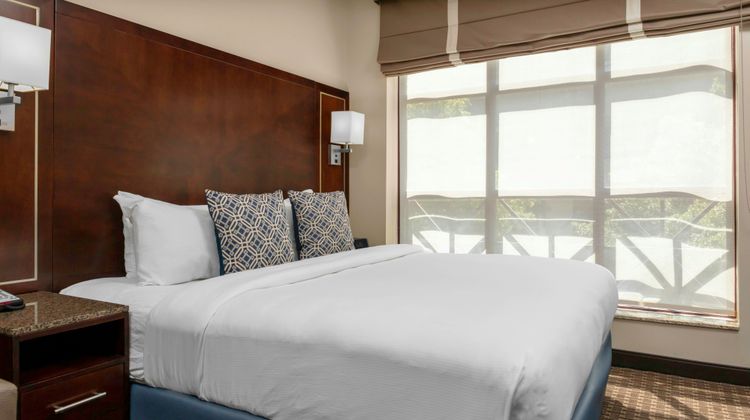 New Haven Hotel Room