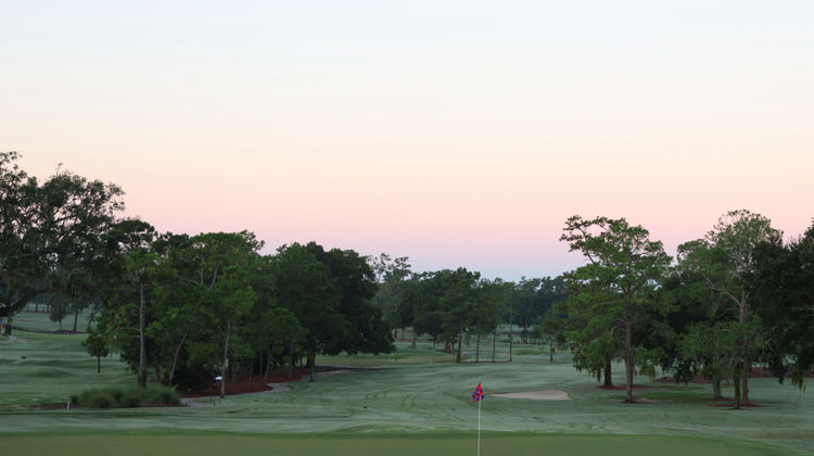 Holiday Inn University Center Golf
