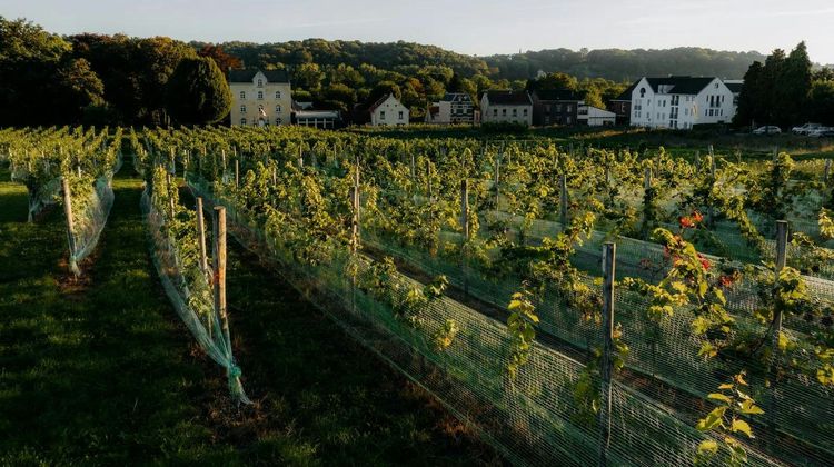 Chateau St Gerlach Other