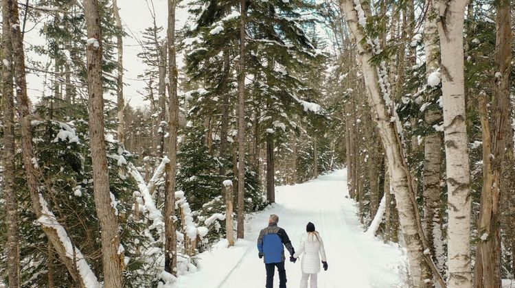 The Lodge at Bretton Woods Recreation